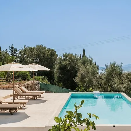 Askos Apartment Agios Nikolaos (Zakynthos)